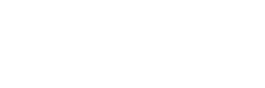 Not Dijital